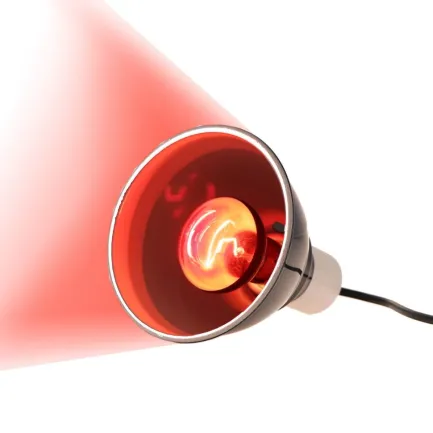Інфрачервона нагрівальна лампа Repti-Zoo Infrared Heat 35W (R63035) — Фото 5