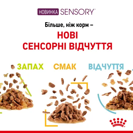 Вологий корм Royal Canin SENSORY FEEL GRAVY для котів всіх порід 85 г — Фото 1