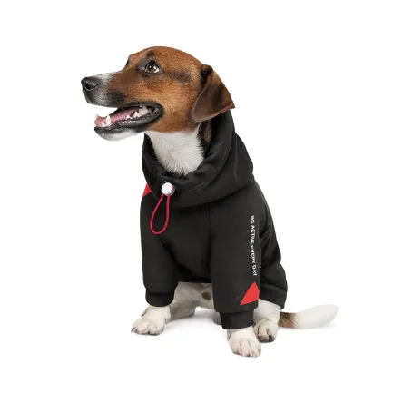 Худі Pet Fashion «Snoodie» для собак, розмір SM, чорний — Фото 1