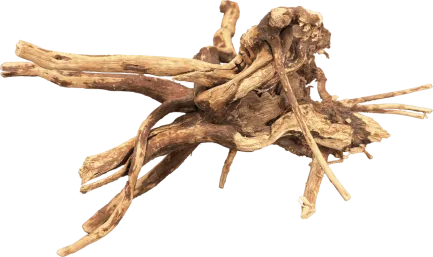 Павутинне дерево BIO ART SPIDER WOOD 10-15 CM (A4056250)