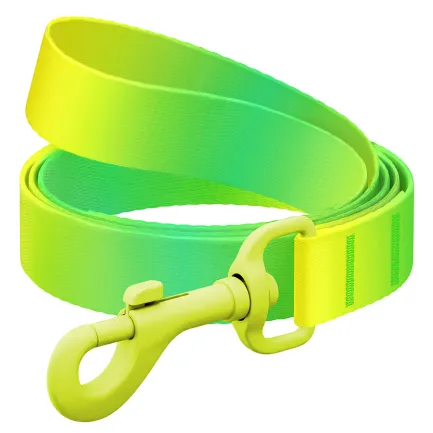Повідець для собак з нейлону WAUDOG Nylon Recycled, градієнт, кольоровий карабін, M, Ш 20 мм, Д 122 cм, салатовий