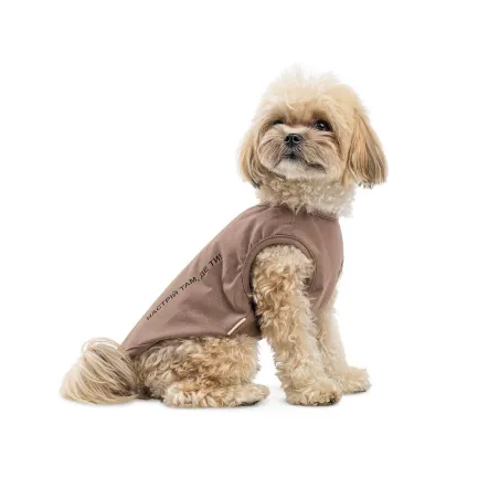 Борцівка Kale ТМ Pet Fashion для собак XS коричнева — Фото 1