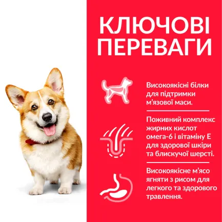 Hill’s Science Plan Adult Small&amp;Mini Сухий корм для дорослих собак малих і мініатюрних порід, з ягням і рисом, 6 кг — Фото 2