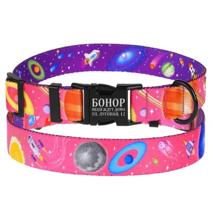 Нашийник для собак BronzeDog Urban Cosmos нейлоновий з металевою пряжкою Рожевий L