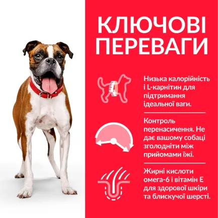 Hill’s Science Plan Adult Light Medium Breed Сухий корм для схильних до зайвої ваги дорослих собак середніх порід, з куркою, 14 кг — Фото 2