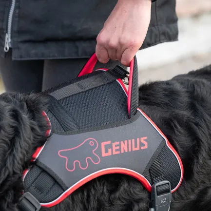 Ferplast GENIUS EX LARGE RED HARNESS нейлонова шлея для тварин червона — Фото 3
