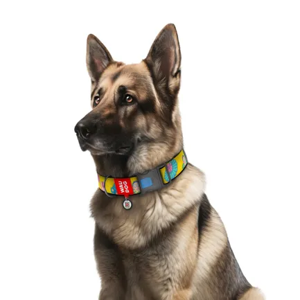 Нашийник для собак нейлоновий WAUDOG Nylon з QR паспортом, малюнок "Рік та Морті 1", пластиковий фастекс, XXL, Ш 35 мм, Дов 46-70 см — Фото 2