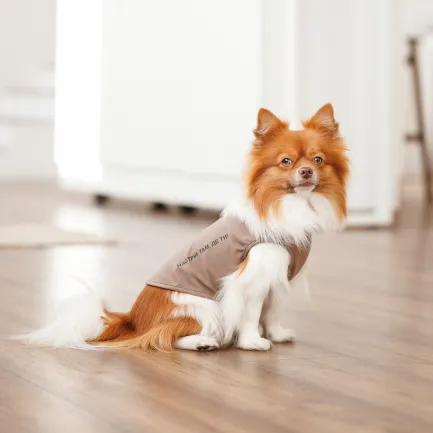 Борцівка Kale ТМ Pet Fashion для собак XS коричнева — Фото 3