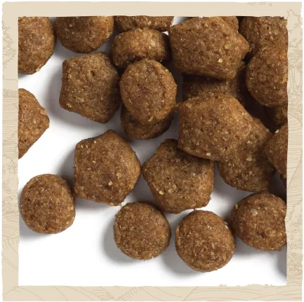 Сухий корм DOG CHOW Puppy <1 для цуценят з ягням 2,5 кг — Фото 8