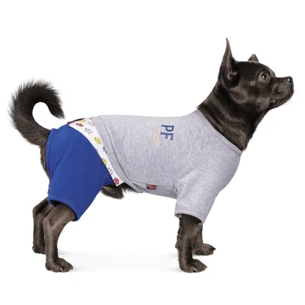 Костюм Pet Fashion «Оріон» для собак, розмір M, сірий — Фото 1