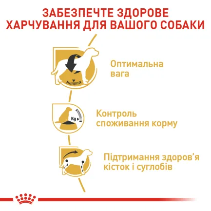 Сухий корм Royal Canin BEAGLE ADULT для дорослих собак породи Бігль 3 кг — Фото 4