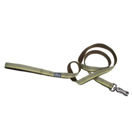 Coastal K9 Explorer Leash КОСТАЛ К9 ЕКСПЛОРЕР світловідбивний повідець для собак, 2.5смХ1.8м Папороть
