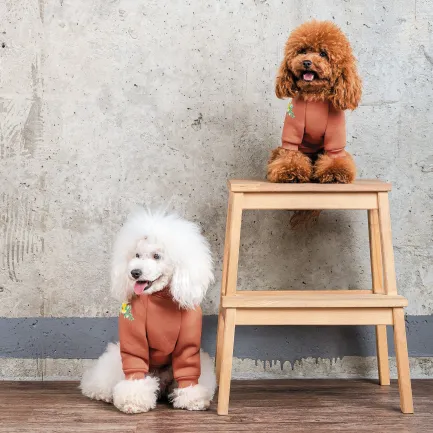 Толстовка Pet Fashion Miley для собак розмір S — Фото 4