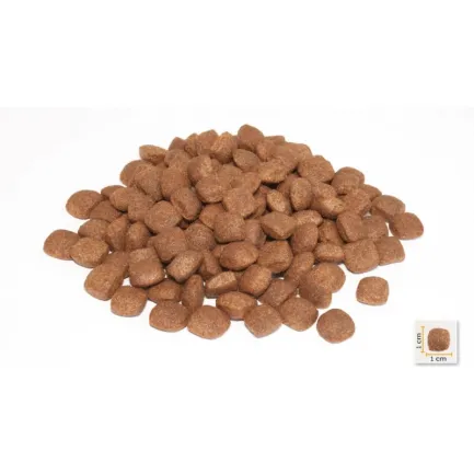 BonaCibo Puppy Lamb&amp;Rice 3 kg — Фото 1