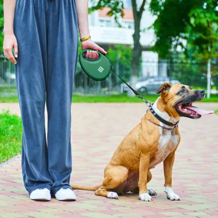 Повідець-рулетка для собак WAUDOG R-leash з контейнером для пакетів, світловідбивна стрічка, L, до 40 кг, 5 м, зелений — Фото 1