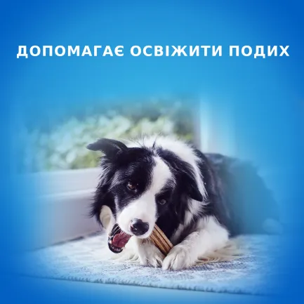 Ласощі DENTALIFE Medium для дорослих собак середніх порід для здоров'я зубів і ясен 115 г — Фото 2