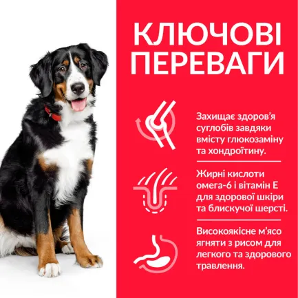 Hill’s Science Plan Adult Large Breed Сухий корм для дорослих собак великих порід, з ягням і рисом, 14 кг — Фото 2