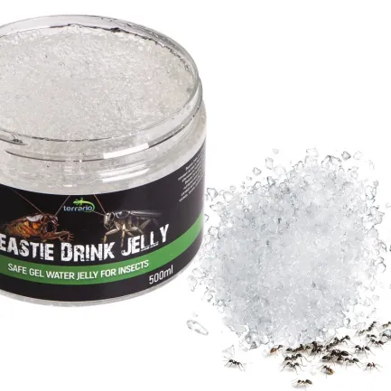 Вода в гелі для комах Terrario Beastie Drink Jelly 500мл. — Фото 4