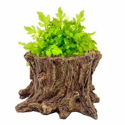 Декорація Hobby Wildwood Stump 15×14,5×9 см - декоративний пень, поїлка, горщик для тераріуму (40849) — Фото 3
