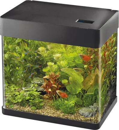 Акваріум скляний - Superfish Panorama 50 LED BLACK (A4052040)