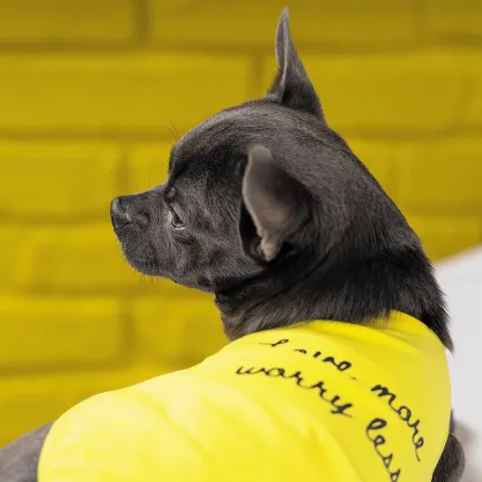 Борцівка Pet Fashion «Puppy» для собак, розмір XS2, жовта — Фото 5