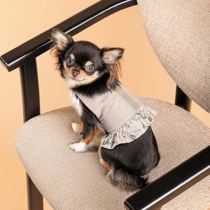 Шлея Pet Fashion для дівчинки Nika S — Фото 4