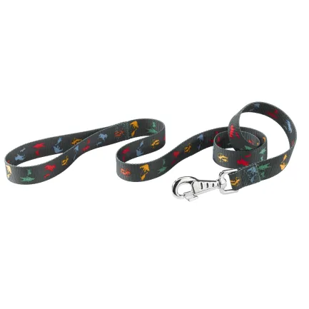 Ferplast CLUB G25/120 CIRCUS Повідець, нейлон
