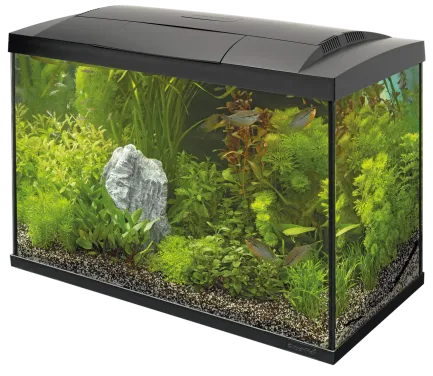 Акваріумний стартовий набір SuperFish Start 70 Aquarium Kit Black (A4050285)