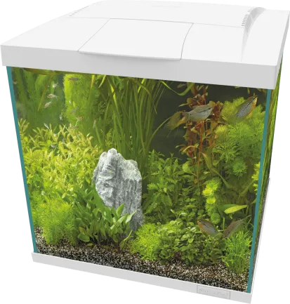 Акваріумний комплект - SF START QUBE 60 KIT WHITE (A4052365)