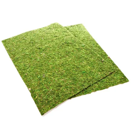 Фон моховий Repti-Zoo Natural Moss Back &amp; Bottom 60x45см 2шт. (NCM6045) — Фото 4
