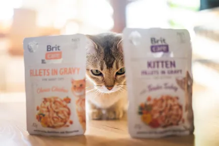 Вологий корм для кошенят Brit Care Kitten Fillets in Gravy Tender Turkey філе в соусі індичка, 85 г — Фото 2