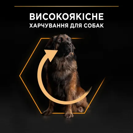 Сухий корм PRO PLAN Large Robust Adult 2+ Everyday Nutrion для дорослих собак великих порід масивної статури з куркою 14 кг — Фото 5