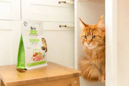 Сухий корм Brit Care Cat GF Senior Weight Control для котів похилого віку з надмірною вагою, курка, 400 г — Фото 4