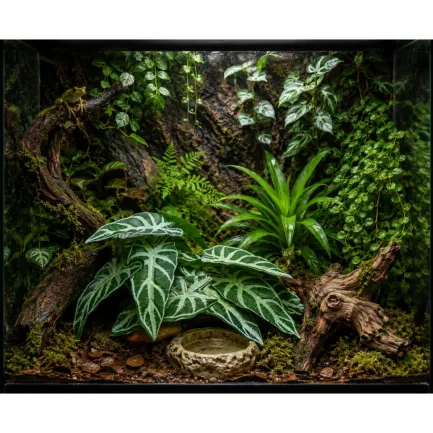 Штучна рослина Hobby Calathea 1 24×14 см (37714) для тераріуму, акватераріуму та палюдаріуму — Фото 2