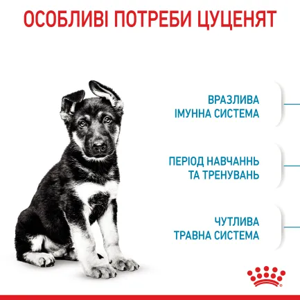 Сухий корм Royal Canin MAXI PUPPY для цуценят великих порід 4 кг — Фото 3