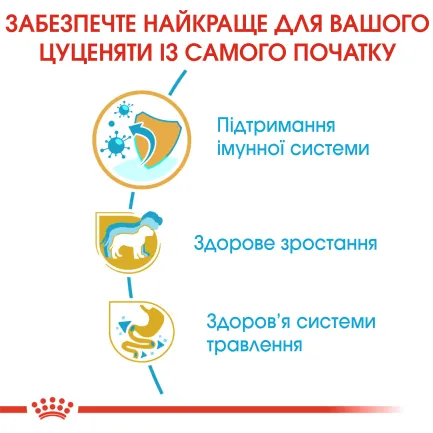 Сухий корм Royal Canin JACK RUSSEL PUPPY для цуценят породи Джек Расел Тер`єр 1,5 кг — Фото 2