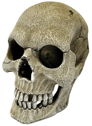 Декорація для акваріума REPTO DECO HUMAN SKULL XL (R5100160)