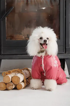Комбінезон Pet Fashion Cherry S дівчинка для собак — Фото 3