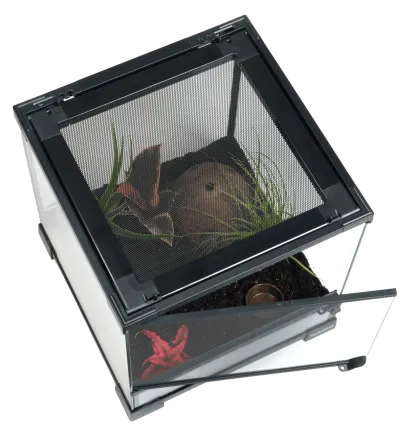 Тераріумний стартовий набір HABISTAT SPIDER STARTER KIT (R1100290) — Фото 1