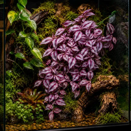 Штучна рослина Hobby Climber Purpurea 70 см (37726) для тераріуму, акватераріуму та палюдаріуму — Фото 3