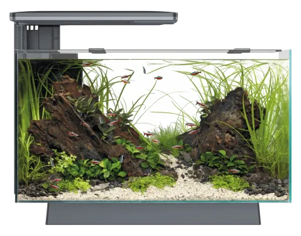 Акваріумний набір SuperFish Quadro 40 Pro Black (A4052205)