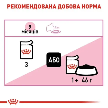Вологий корм Royal Canin KITTEN STERILIZED для кошенят всіх порід 85 г — Фото 1