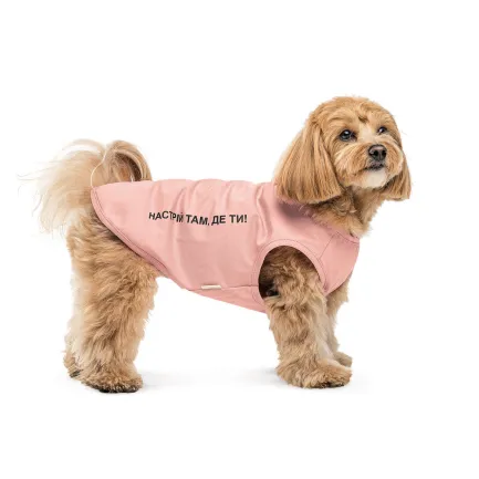 Борцівка Kale ТМ Pet Fashion для собак XS рожева — Фото 1