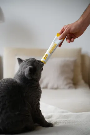 Паста для котів GimCat Cheese Biotin Paste cирна з біотином, 100 г — Фото 3