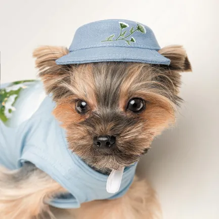 Панама Pet Fashion для собак Blue M — Фото 3