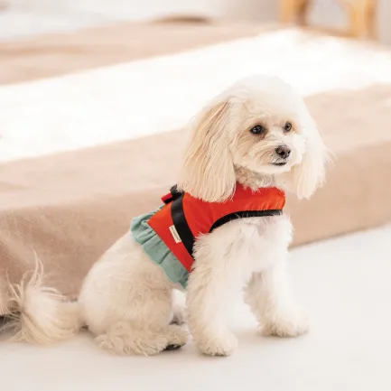 Шлея Monika ТМ Pet Fashion для собак XS червона — Фото 4
