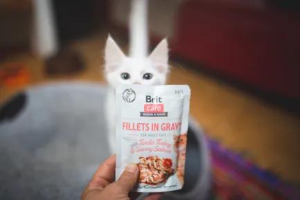 Вологий корм Brit Care Cat Pouch для котів, філе в соусі, ніжна індичка і пікантний лосось, 85 г — Фото 2