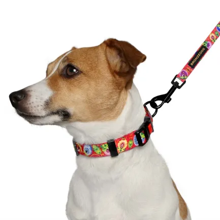 Нашийник для собак BronzeDog Urban Folk нейлоновий з пластиковою пряжкою кораловий S — Фото 4