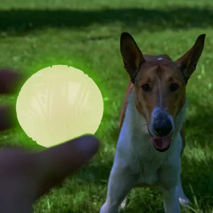 Іграшка для Собак Skipdawg Glow Ball Світлонакопичувальний М'яч 7 см M — Фото 3