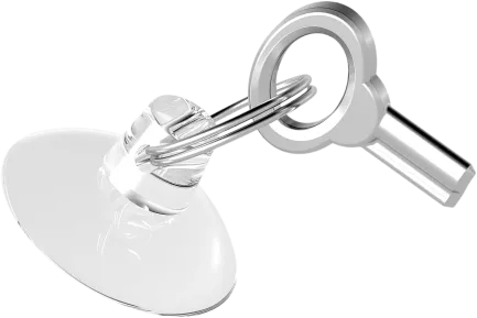 KEY FOR TERRARIUM (R1100610) ключ для тераріума